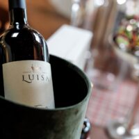 Wine Tenuta Famiglia Luisa - La pamos