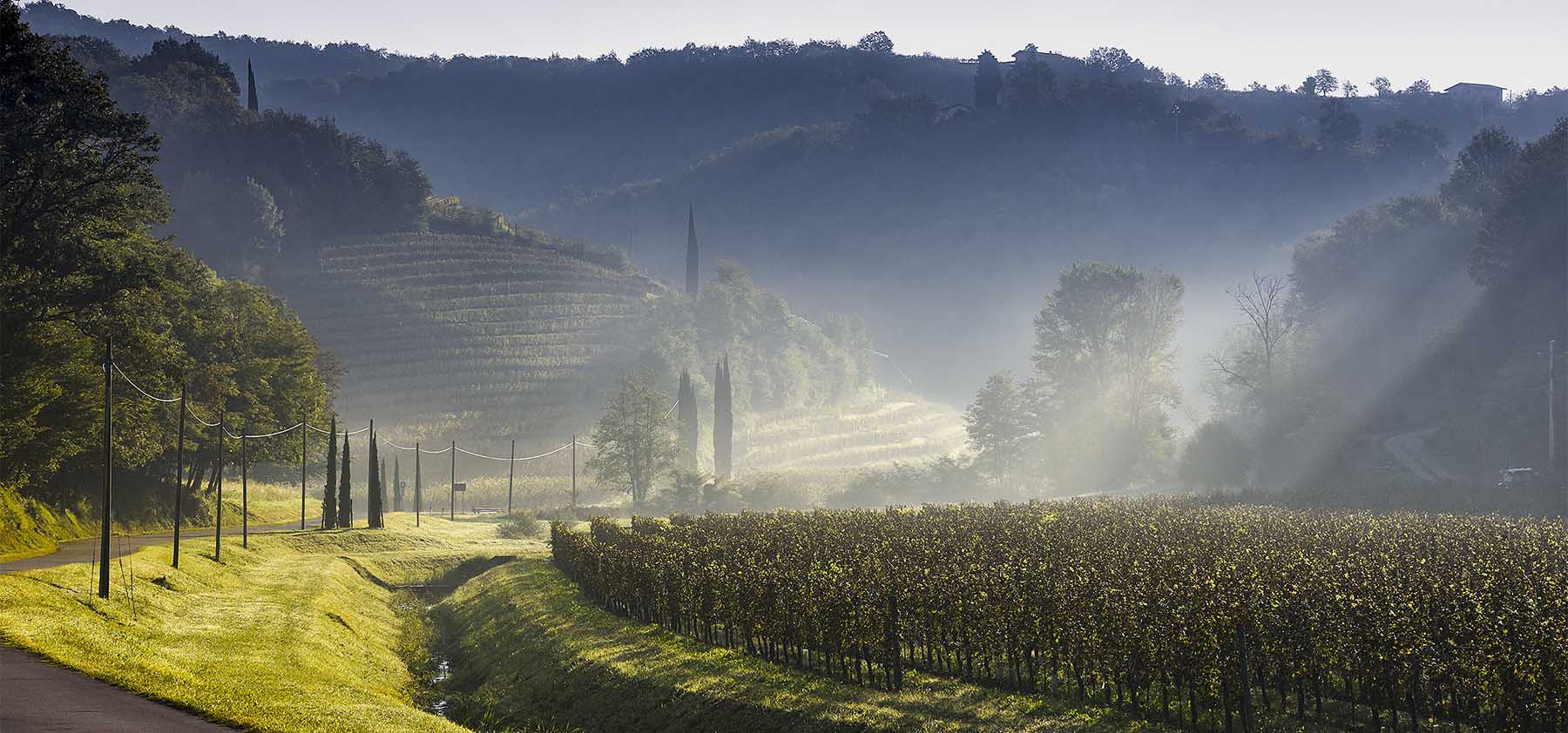 lapamos collio Photo ©Carola Nitsch