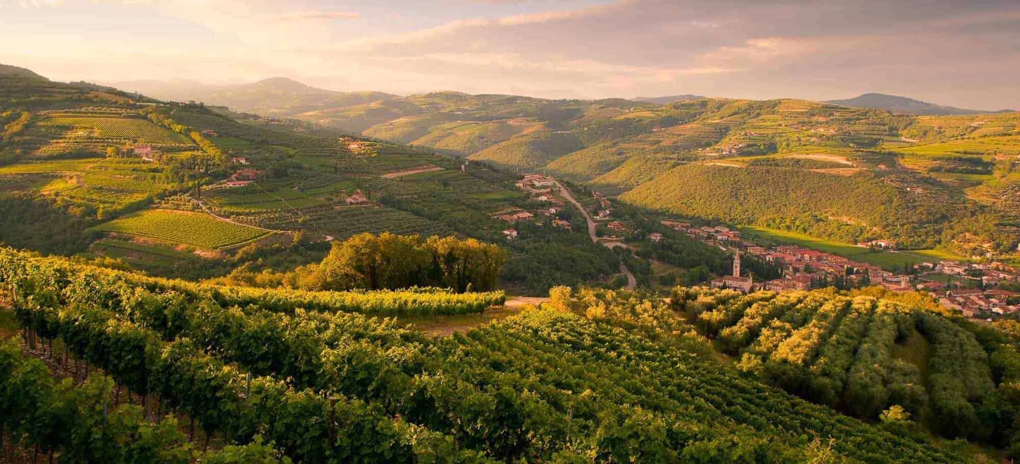 Valpolicella da scoprire la pamos