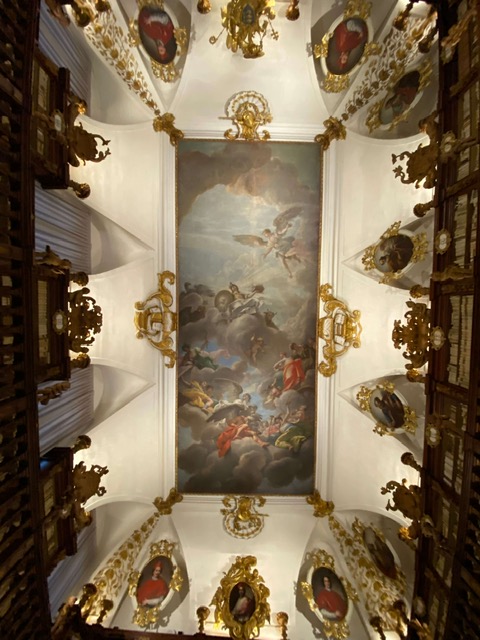 cosa vedere a Udine in 1 weekend, museo diocesano e gallerie del Tiepolo, soffitto affrescato biblioteca patriarcale