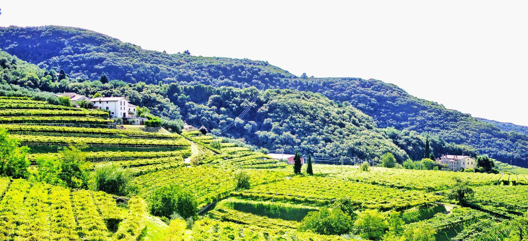 weekend in Valpolicella, tra sapori, borghi e natura